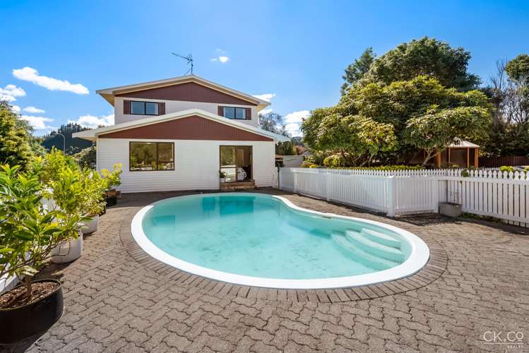 127 Gemstone Drive Birchville_20