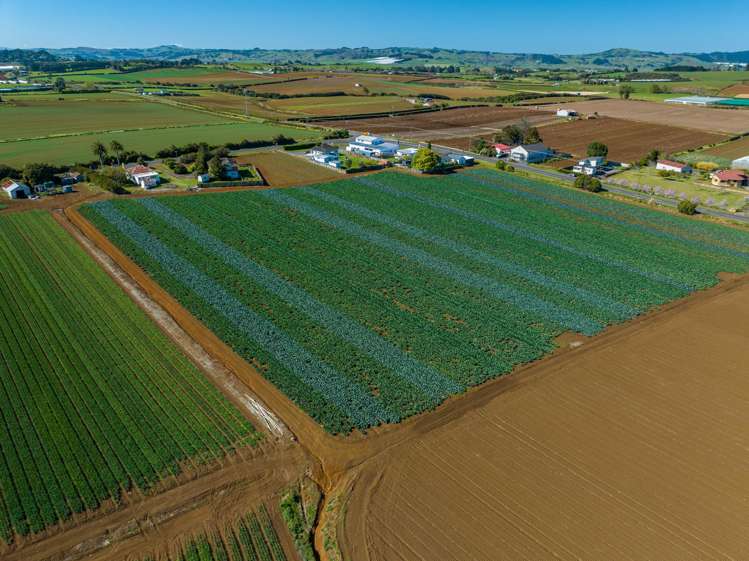 292 Waiuku Road Puni_15