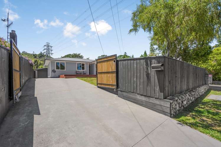 61 Black Beech Street Birchville_21