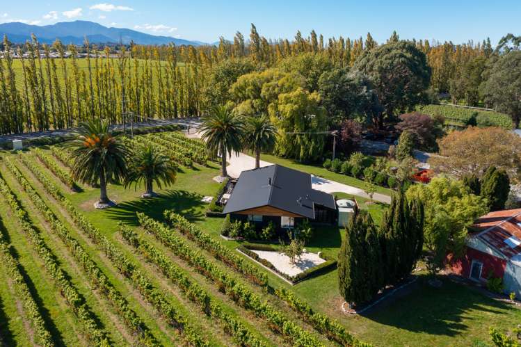 Alabama Road Riverlands_27