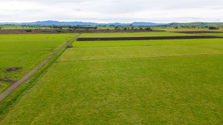 220 Valintine Road Gordonton_16