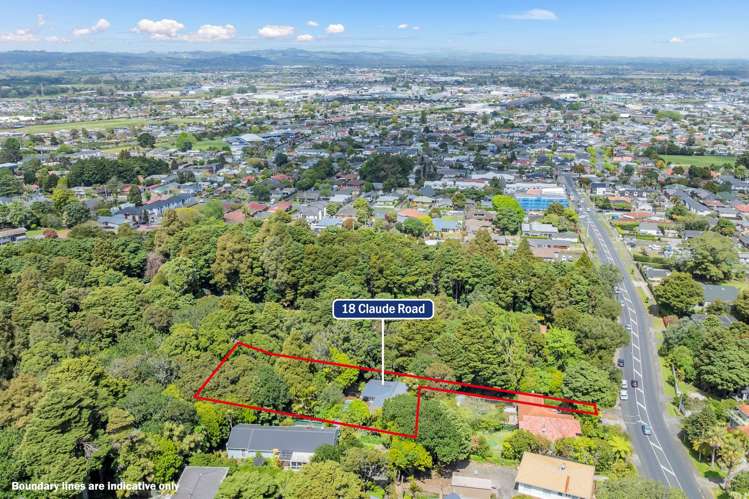 18 Claude Road Hill Park_34