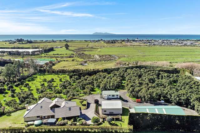 Stunning Waihi Beach Lifestyle