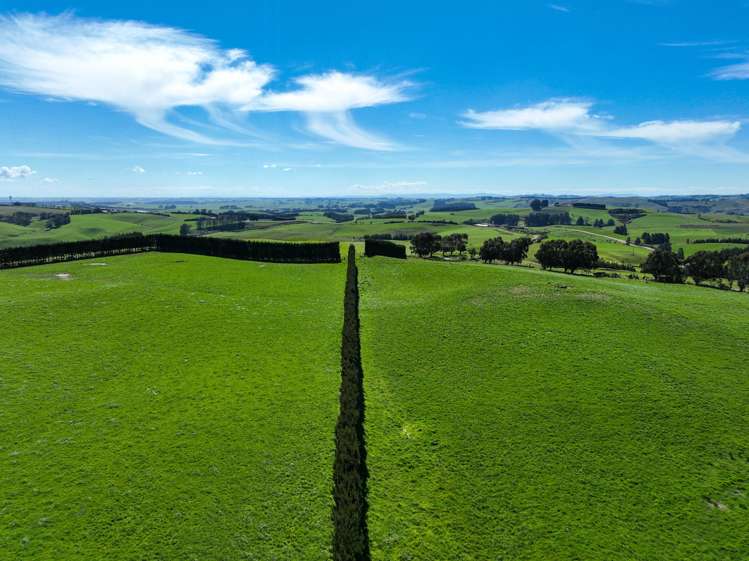 300 Jacks Hill Road Waimahaka_6