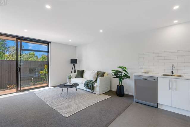 2/48 Mathesons Road Phillipstown_2