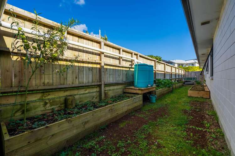 20 Rock Ridge Drive Te Kamo_23