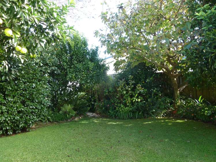 7 Kauri Place Tairua_20