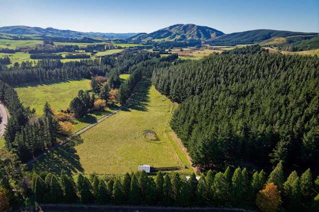 Exceptional lifestyle and forestry opportunity