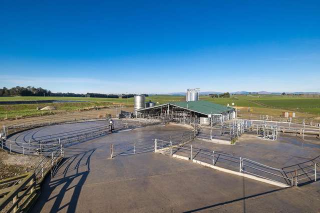 41 Manuka Road, 191 Benny Road, 160 Chapman Road Rongahere_4