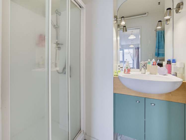 4/6 Elizabeth Street Mount Victoria_7
