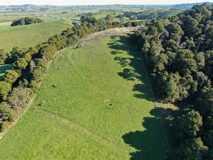 52 Kopuku Road Waerenga_23