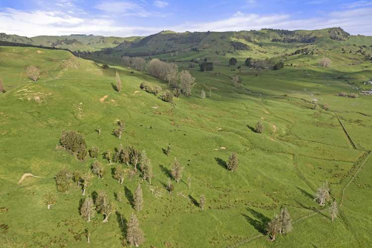 Mangatea Road Te Kuiti_21