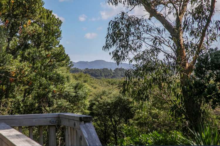 16 Kopiko Road Titirangi_24