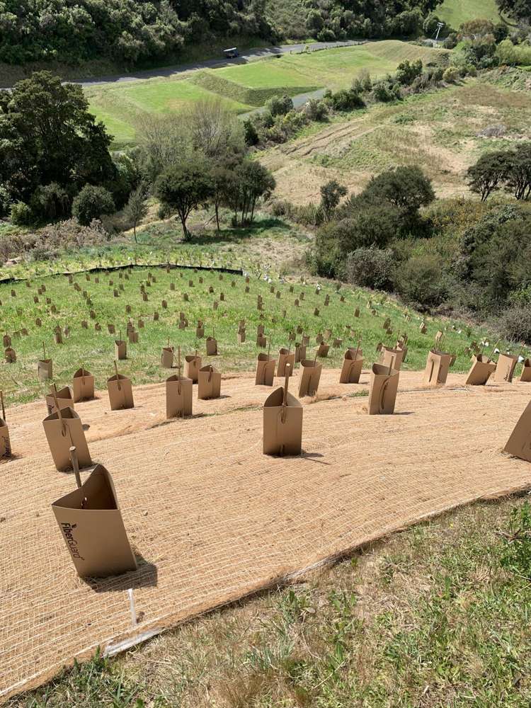 21 Skylark Rise Todds Valley_17