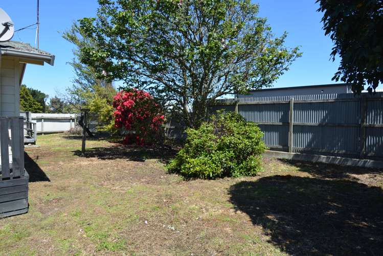 295 Tweed Street Georgetown_16