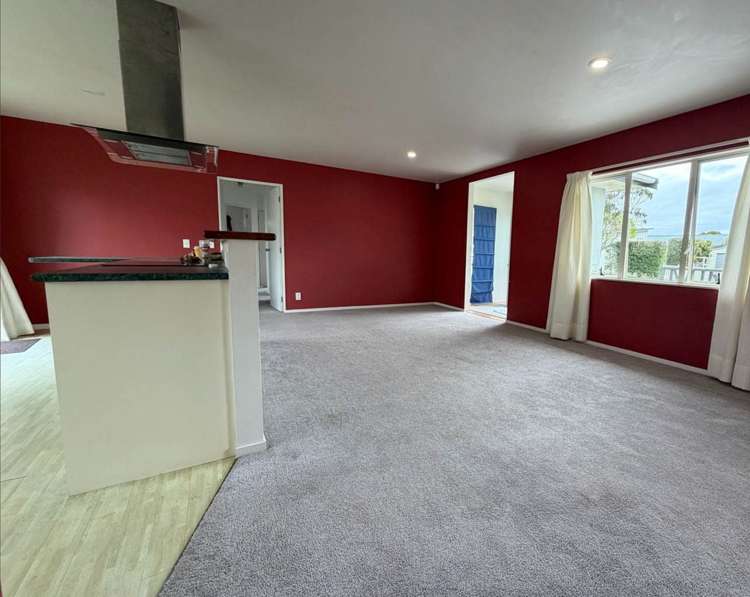 291B Vipond Road Stanmore Bay_5