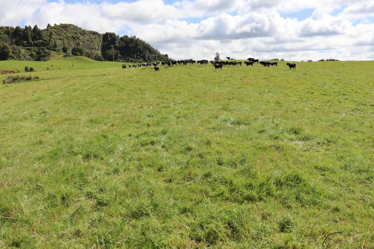 1 Waitaanga Road Ahititi_22