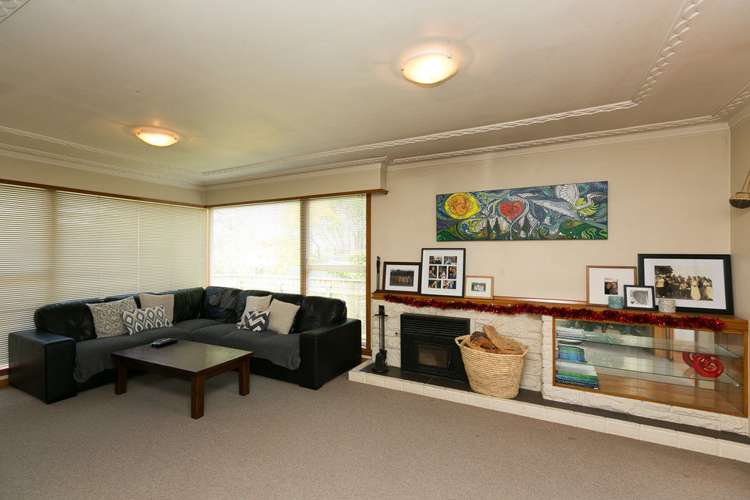 245 Carrington Street Vogeltown_7