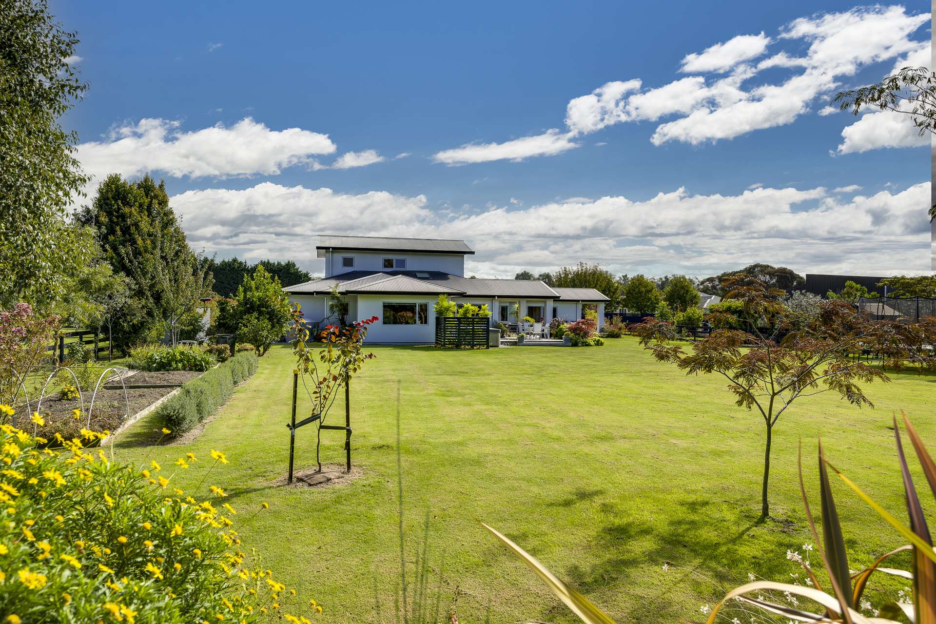 73 McElwee Street Jervoistown_0