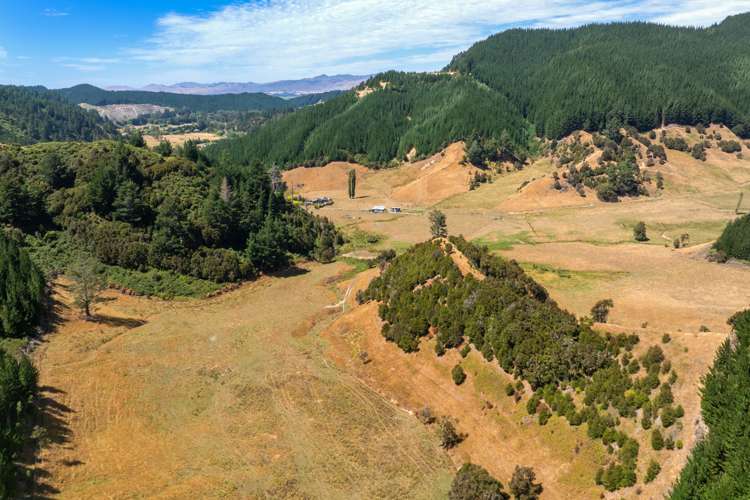 407 Onamalutu Road Wairau Valley_41