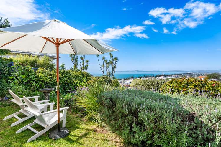 14 Corry Avenue Bluff Hill_28