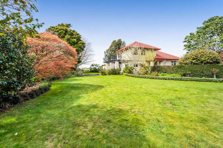 305 Mangorei Road Merrilands_34