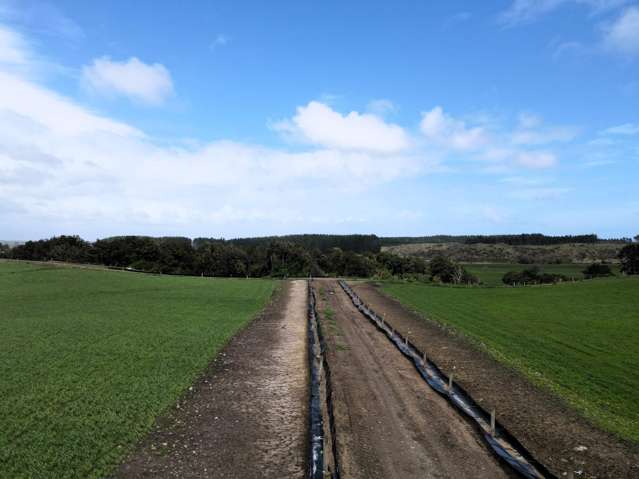 78 Brandon Hall Road Bulls_4