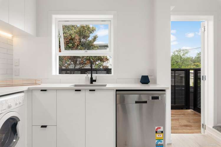 2/29a Birdwood Crescent Parnell_13