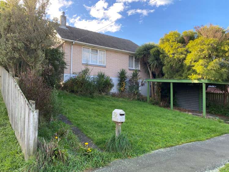 19 Pukaki Street_0