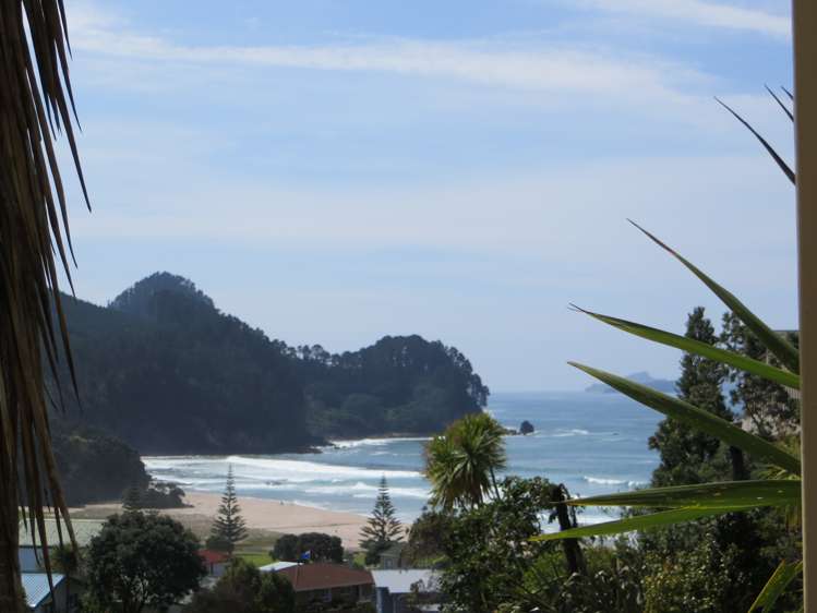 420 Onemana Drive Onemana_2