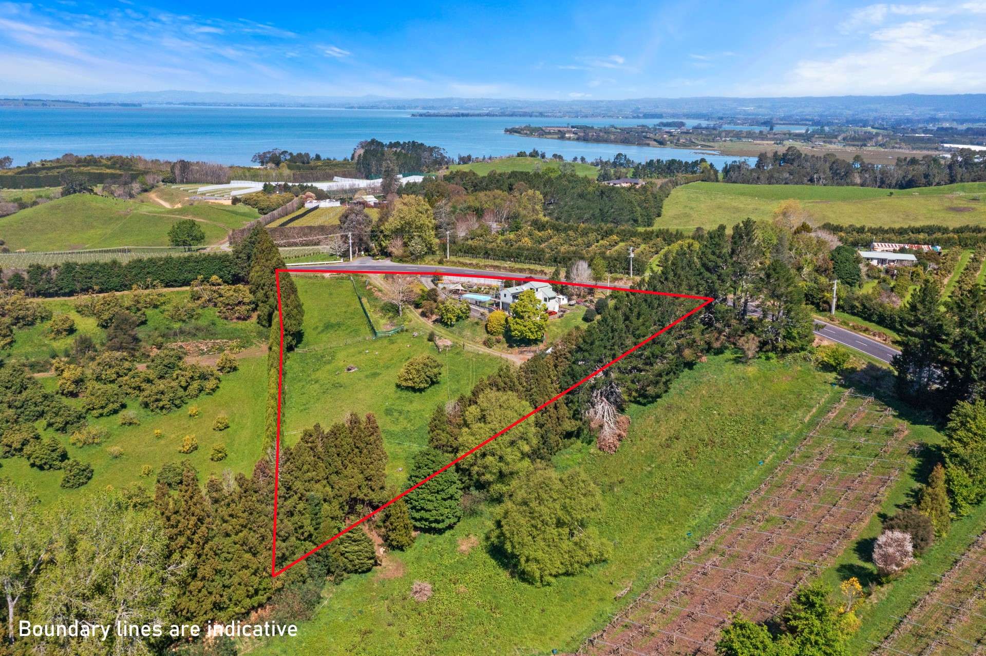 213 Kauri Point Road Katikati Western Bay Of Plenty Houses for