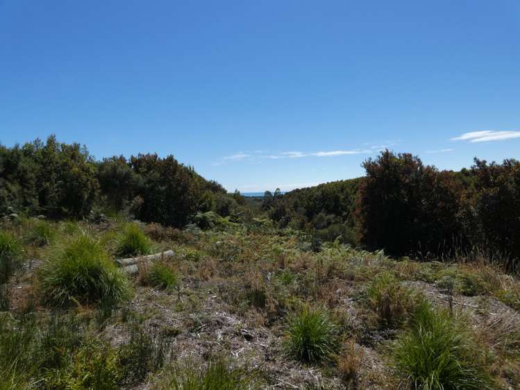 120 Brickfield Road Hokitika_3