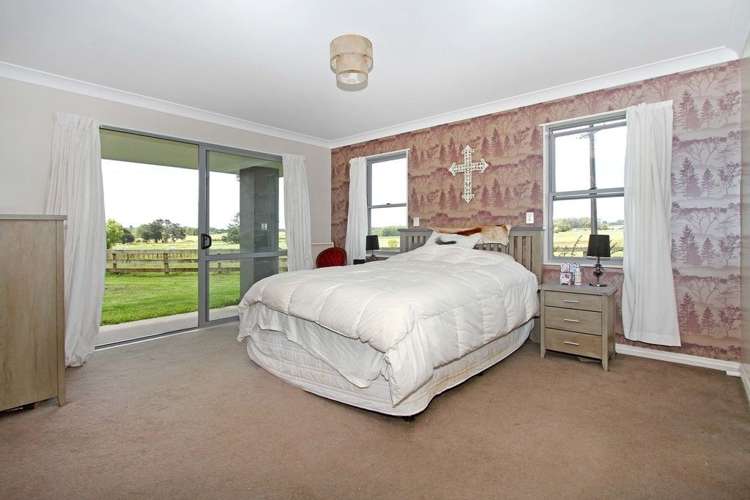 207 Postman Road Dairy Flat_8