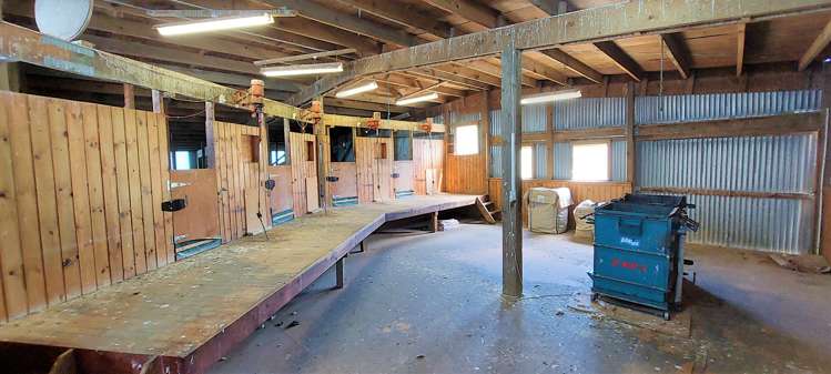 1777 Papatowai Highway Papatowai/Pounawea_8