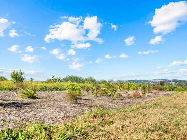 Lot 81/1001 Kapiro Road Kerikeri_4