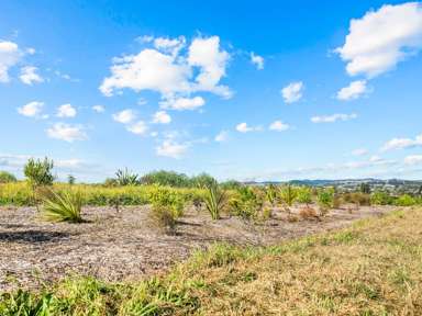 Lot 81/1001 Kapiro Road_4