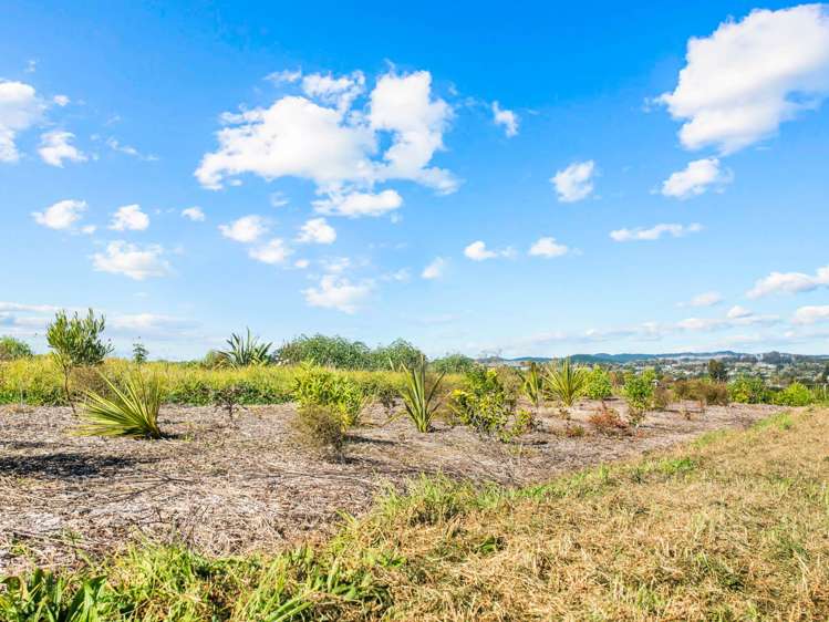Lot 81/1001 Kapiro Road Kerikeri_4