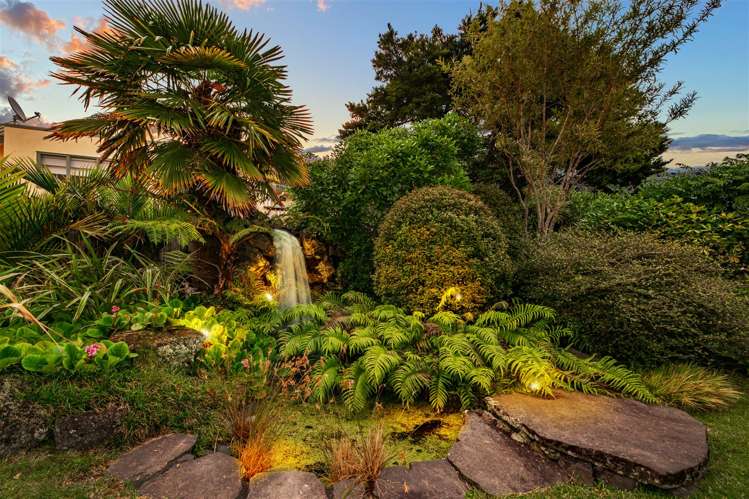 31 Jubaea Place Henderson_5