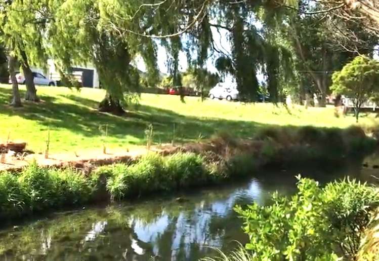 9 Damian Grove Waterloo_14