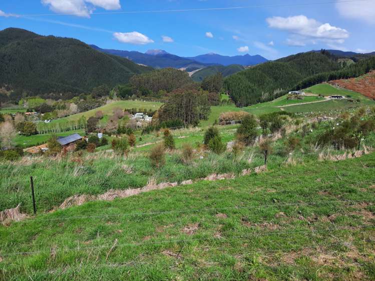 Lot 4 326 Aniseed Valley Road Aniseed Valley_13