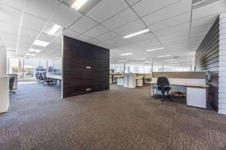 27 Napier Street Freemans Bay_16