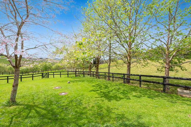 298 Rimmer Road Helensville_6