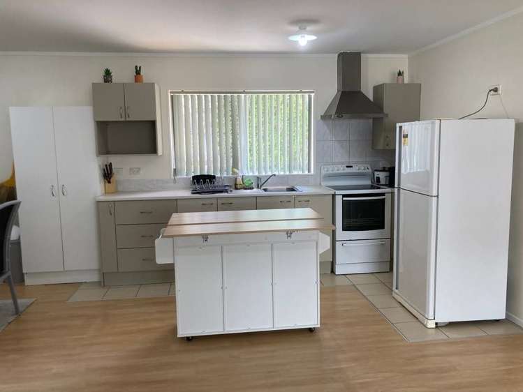 55A Archibald Road Kelston_2