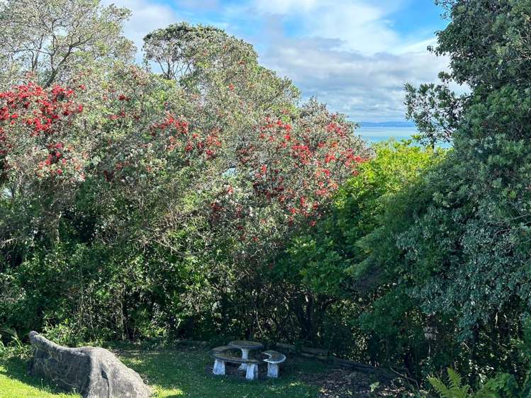 354 Hillsborough Road Hillsborough_19