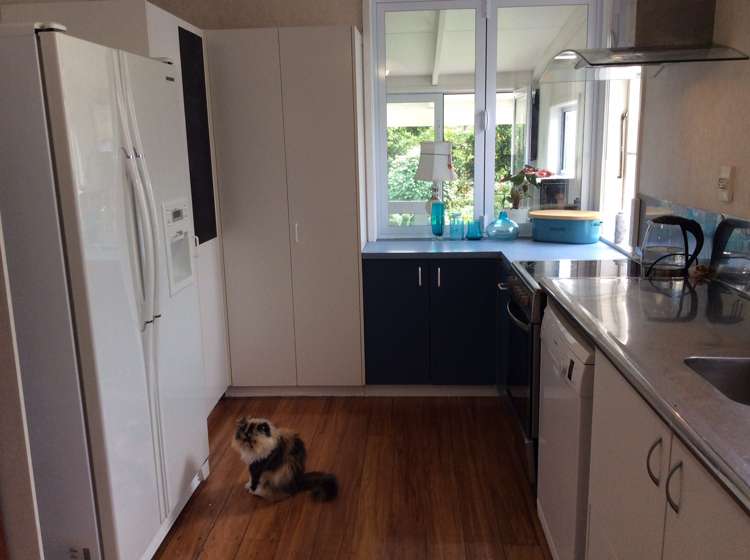 192 Kopu Road Wairoa_5