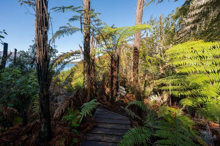 18 & 20 Te Toroa Drive Lake Tarawera_16