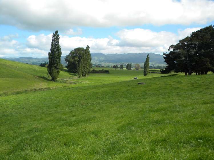 Lot 2 Pokuru Road Te Awamutu_2