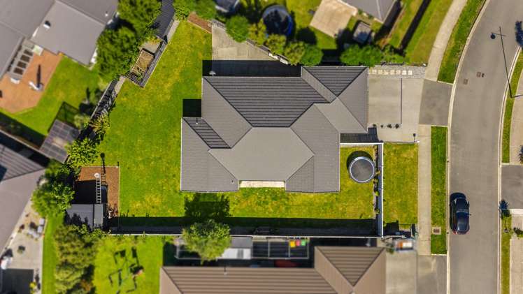 16 Turvey Street Pegasus_34