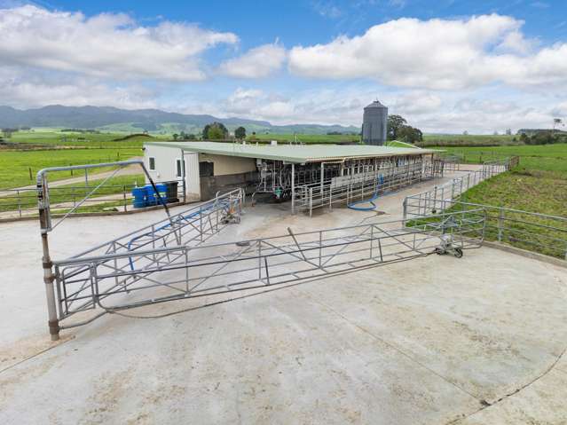 128 Rapurapu Road, Te Poi Matamata_3