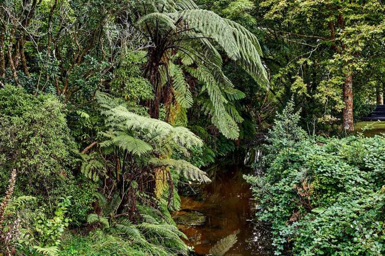 1200 State Highway 1 Manakau_20